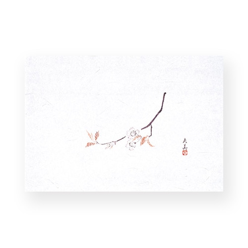 マイン 敷紙 四季紙 萬寿 桜 100枚入 M33-109 1束(ご注文単位1束)【直送品】