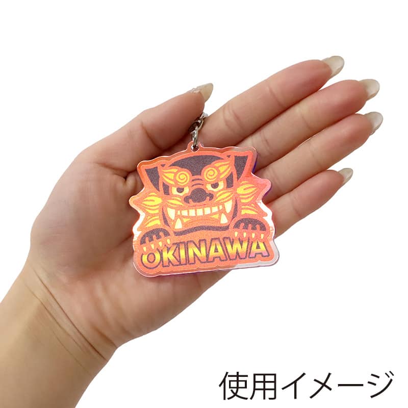 ファースト・アロー アクリルオーロラダイカット キーホルダー 沖縄シーサー 5色アソート 820-835 1個（ご注文単位20個）【直送品】