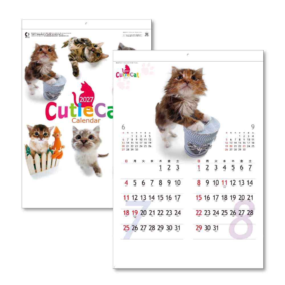 キングコーポレーション キューティーキャット 1冊（ご注文単位10冊）【直送品】