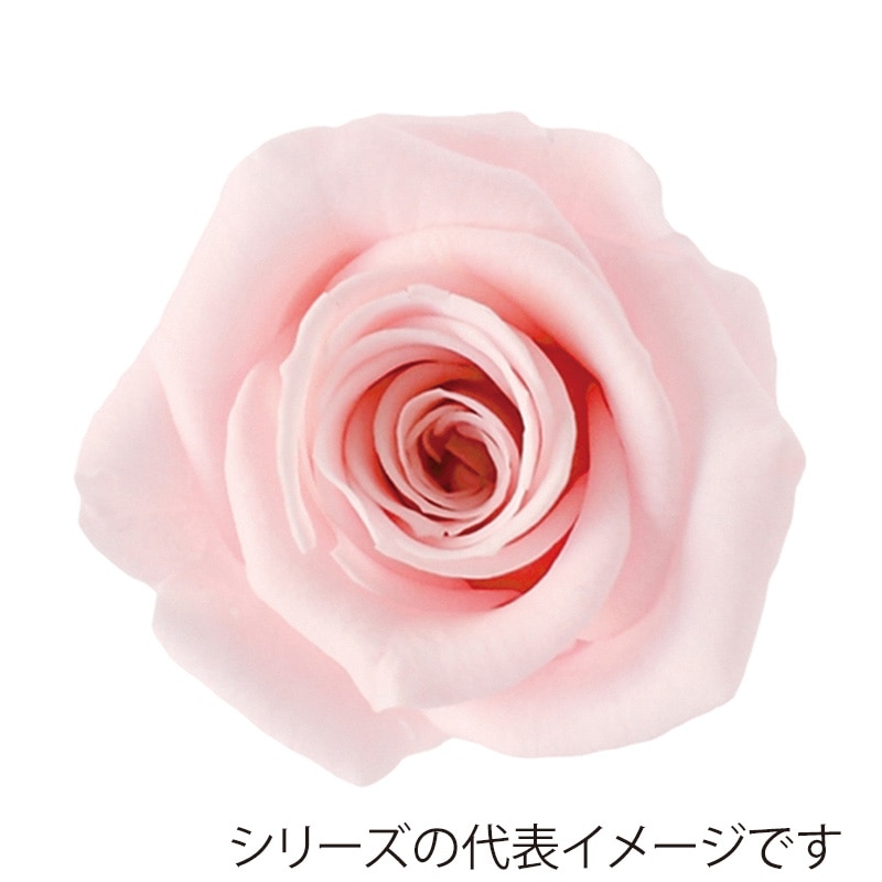 ペールピンク