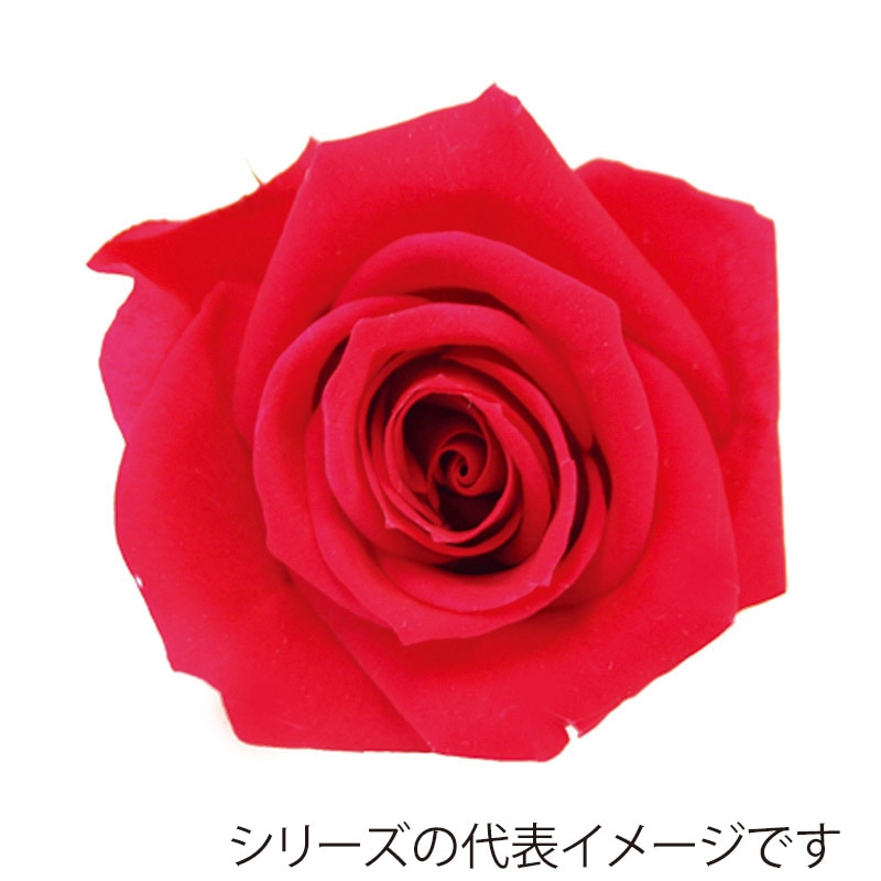 シャイニーレッド
