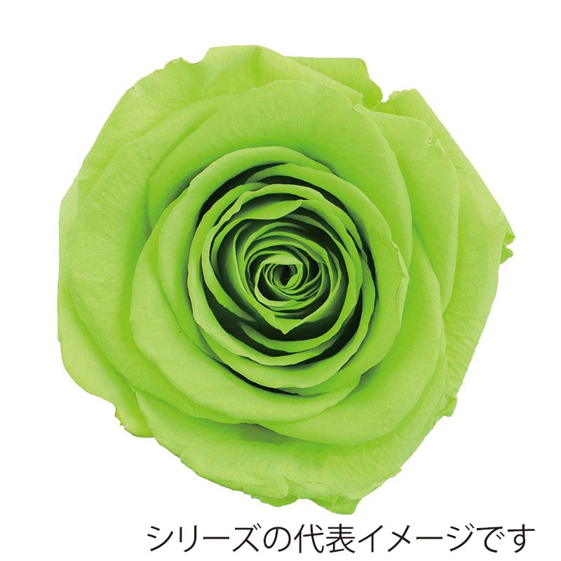 ライムグリーン