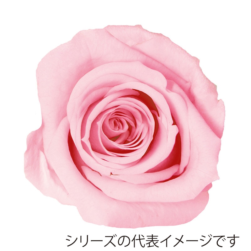 マリッジピンク