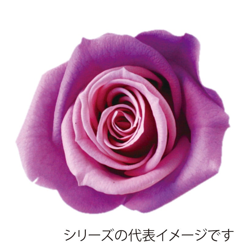グレープタルト