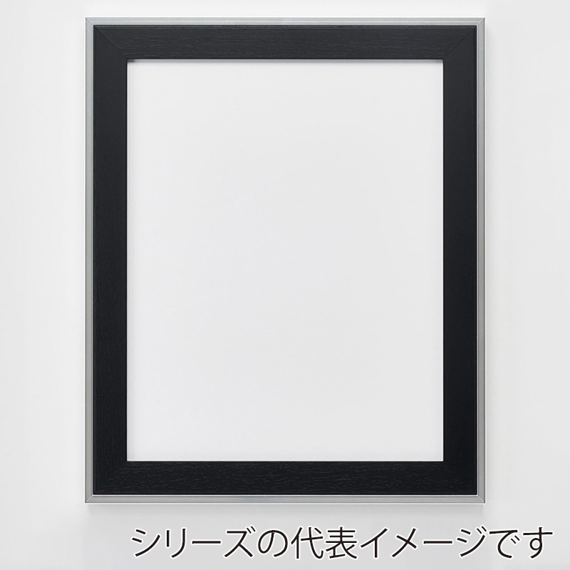 アルナ デッサン額・ポスターパネル　モントレ 大判　850×660mm ビターフレーム 1個（ご注文単位1個）【直送品】