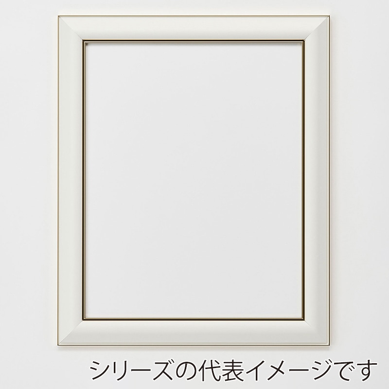 アルナ デッサン額 HVM B-4 364×257mm ネオホワイトフレーム 1個(ご注文単位1個)【直送品】