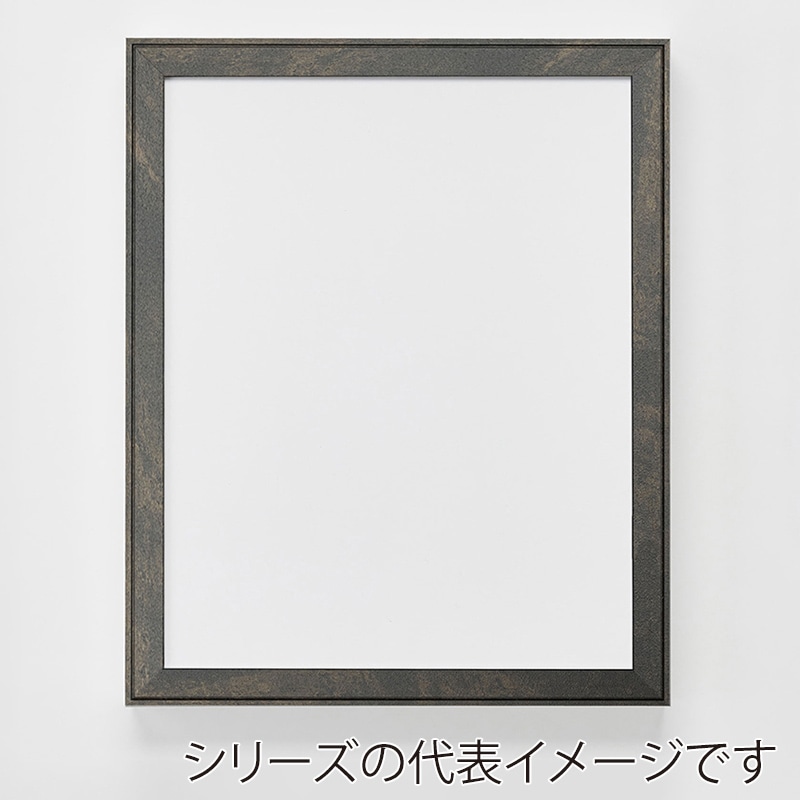 アルナ デッサン額　FW 小全紙　659×509mm 宗達フレーム 1個（ご注文単位1個）【直送品】