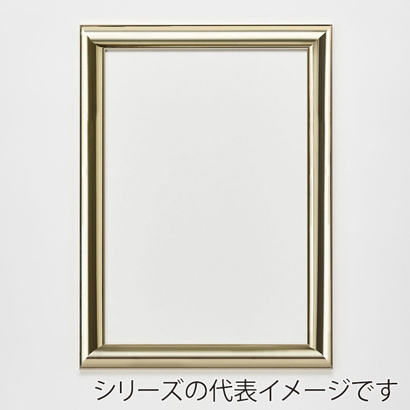 アルナ デッサン額　HVM 半切　545×424mm ゴールドフレーム 1個（ご注文単位1個）【直送品】