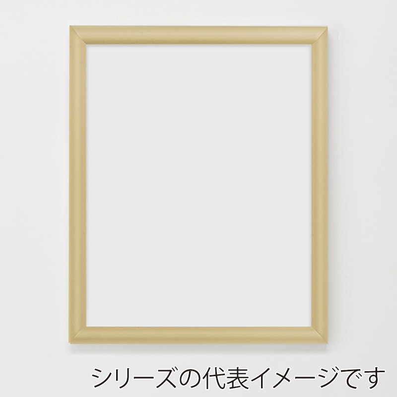 アルナ デッサン・書道額　YFM A-1　841×594mm ゴールドフレーム 1個（ご注文単位1個）【直送品】