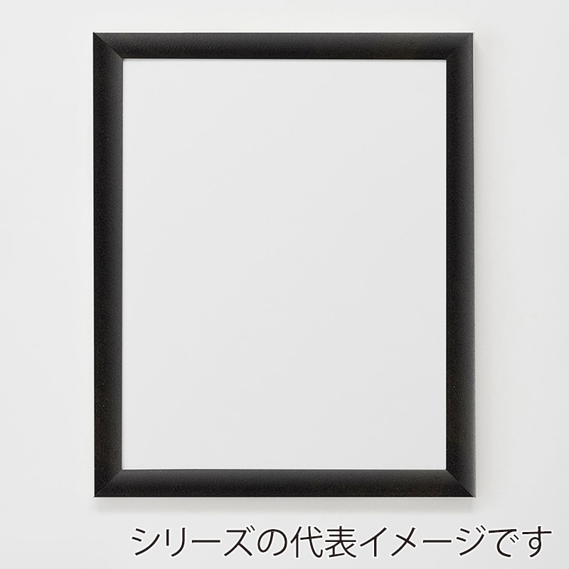 アルナ デッサン・書道額　YFM B-2　728×515mm 宗達フレーム 1個（ご注文単位1個）【直送品】