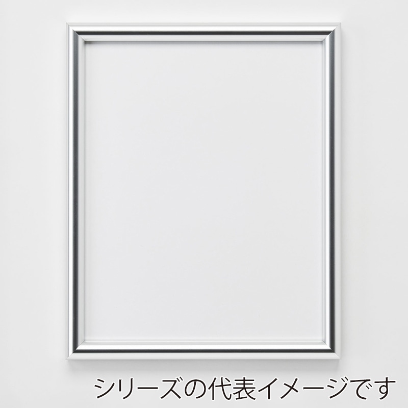アルナ デッサン額　IC 700角 シルバーフレーム 1個（ご注文単位1個）【直送品】