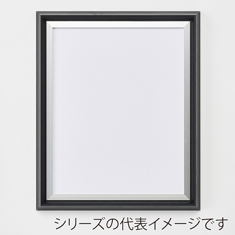 アルナ デッサン額　エトルタ 全紙　727×545mm ビターフレーム 1個（ご注文単位1個）【直送品】