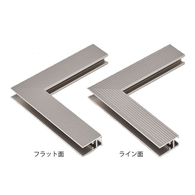 アルナ デッサン額 DUO 両面アクリル 大判 850×660mm マットシルバーフレーム 1個(ご注文単位1個)【直送品】