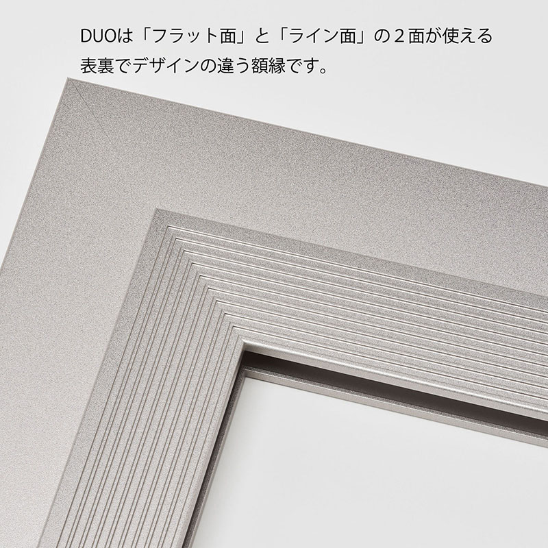アルナ デッサン額 DUO 両面アクリル 200角 マットシルバーフレーム 1個(ご注文単位1個)【直送品】