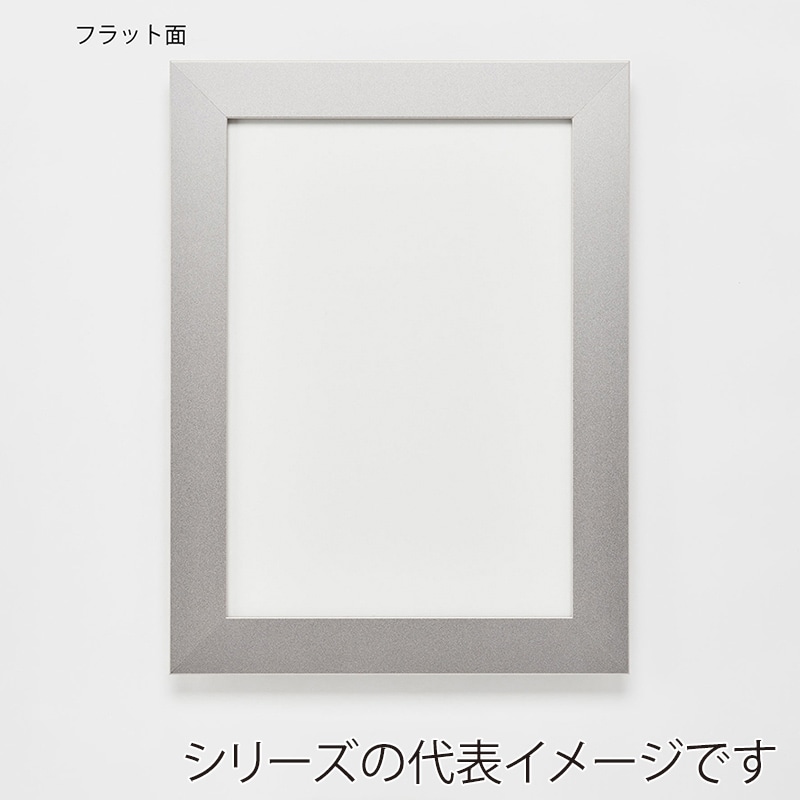 アルナ デッサン額 DUO 両面アクリル ポスターB 702×502mm マットシルバーフレーム 1個(ご注文単位1個)【直送品】
