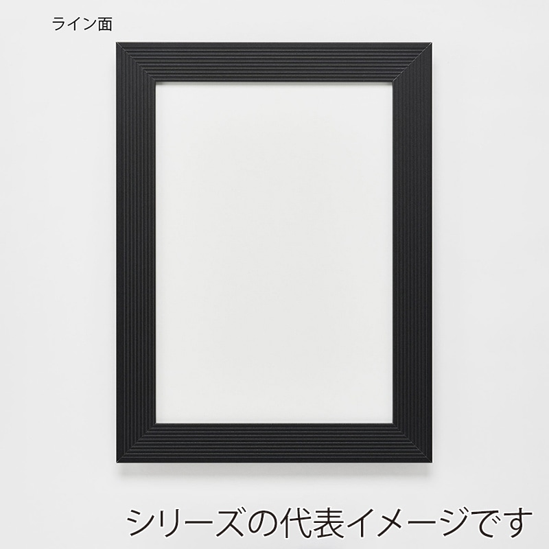 アルナ デッサン額 DUO 両面アクリル B5 257×182mm マットブラックフレーム 1個(ご注文単位1個)【直送品】