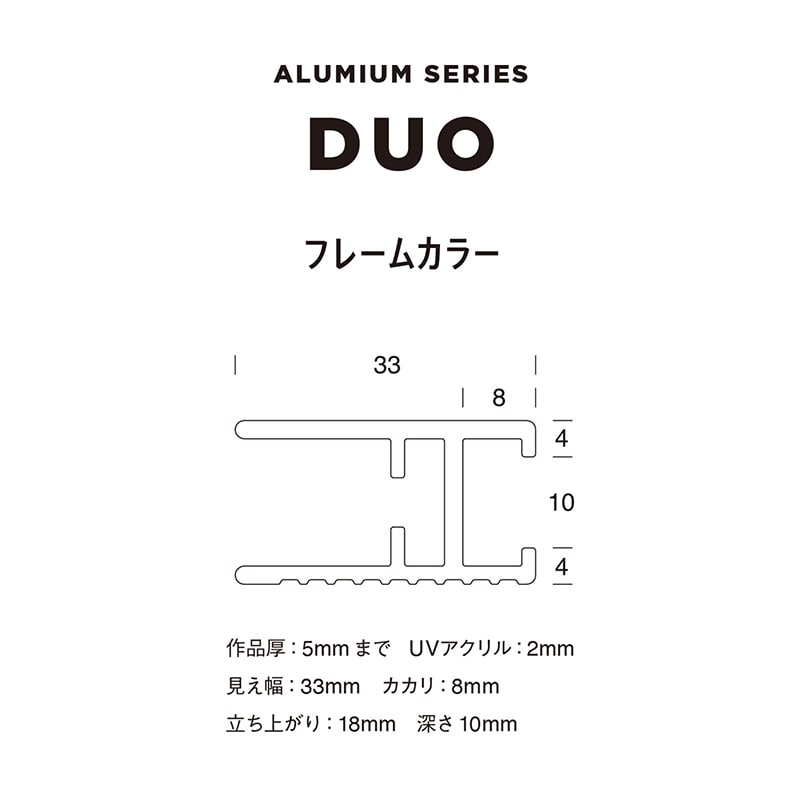 アルナ デッサン額 DUO 両面アクリル B5 257×182mm マットブラックフレーム 1個(ご注文単位1個)【直送品】