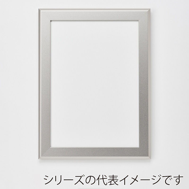 アルナ デッサン額・ポスターパネル FILLET 400×200 マットシルバーフレーム 1個(ご注文単位1個)【直送品】