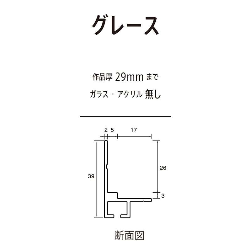 アルナ 仮縁　グレース F-40　1000×803mm ナチュラルフレーム 1個（ご注文単位1個）【直送品】
