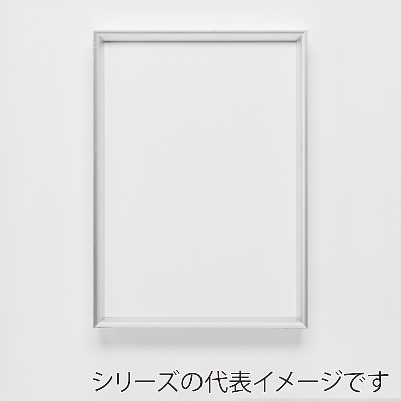 アルナ デッサン額・ポスターパネル　LEAN 大判　850×660mm 生材フレーム 1個（ご注文単位1個）【直送品】