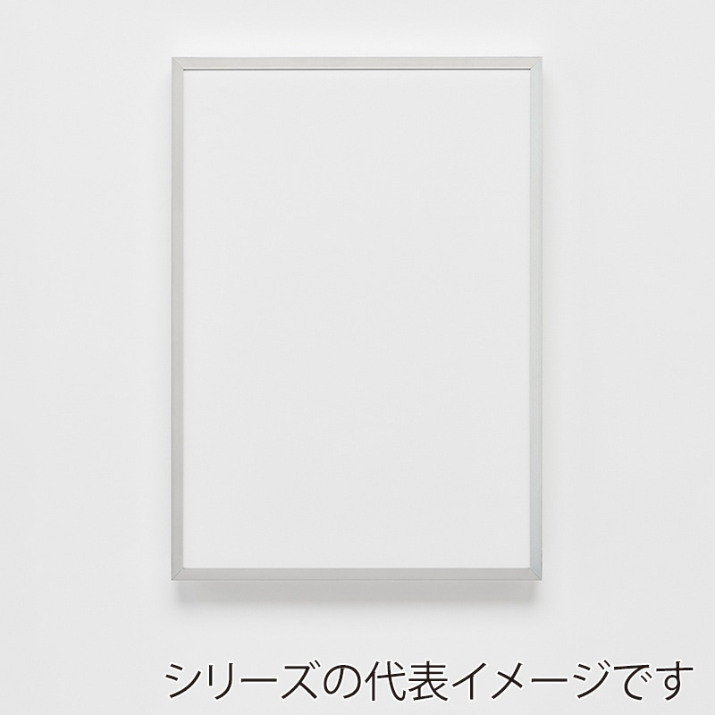 アルナ デッサン額・ポスターパネル　CUT 400×200 生材フレーム 1個（ご注文単位1個）【直送品】