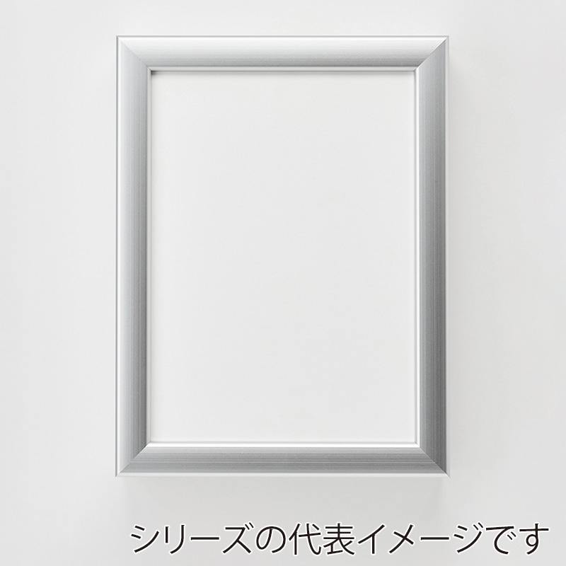 アルナ コレクションケース・仮縁　ボルドー F-15　652×530mm シルバーフレーム 1個（ご注文単位1個）【直送品】