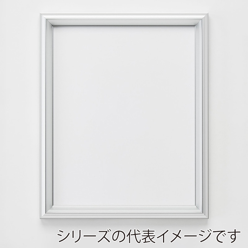アルナ デッサン額 クレア A-5 210×148mm シルバーフレーム 1個(ご注文単位1個)【直送品】
