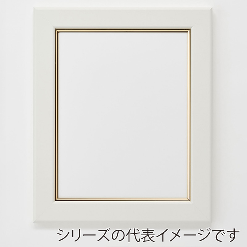アルナ デッサン額 CF 面金付き 三三 606×455mm ネオホワイトフレーム 1個(ご注文単位1個)【直送品】
