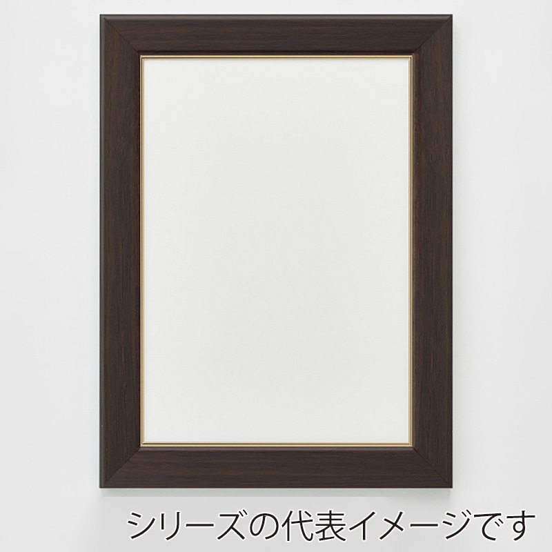 アルナ デッサン額　CF　面金付き 三三　606×455mm オークフレーム 1個（ご注文単位1個）【直送品】