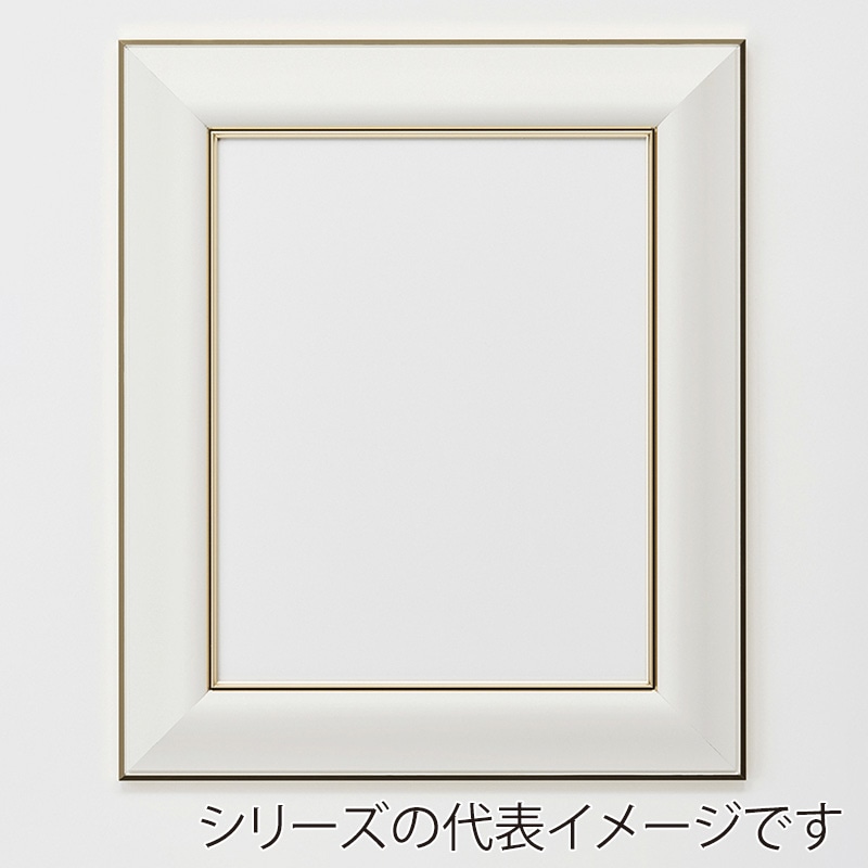 アルナ デッサン額　HVL 900角 ネオホワイトフレーム 1個（ご注文単位1個）【直送品】