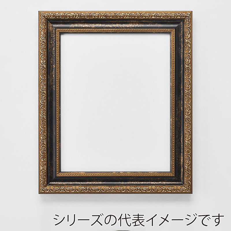 アルナ デッサン・書道額　1644 A-1　841×594mm ブラックフレーム 1個（ご注文単位1個）【直送品】