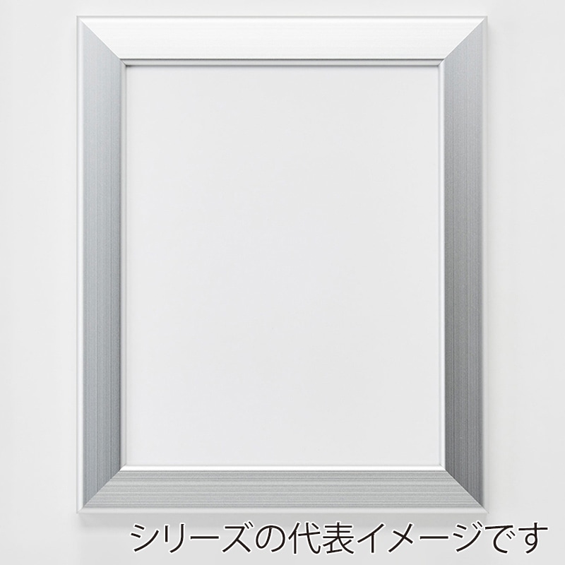 アルナ デッサン額　CF 300角 シルバーフレーム 1個（ご注文単位1個）【直送品】