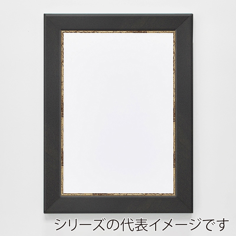 アルナ デッサン額 CF 面金付き A-1 841×594mm 宗達フレーム 1個(ご注文単位1個)【直送品】