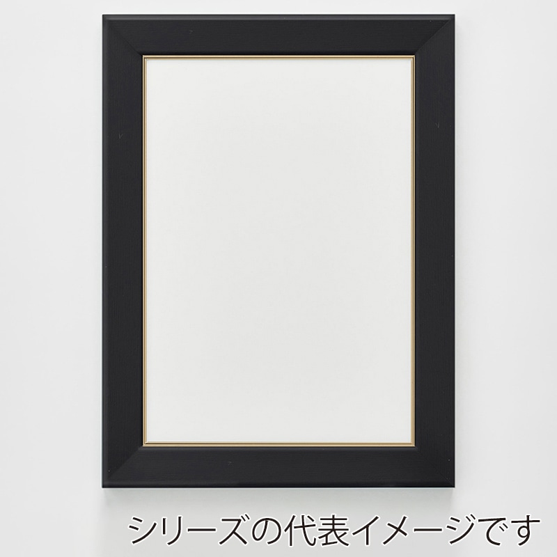 アルナ デッサン額 CF 面金付き A-0 1189×841mm ビターフレーム 1個(ご注文単位1個)【直送品】