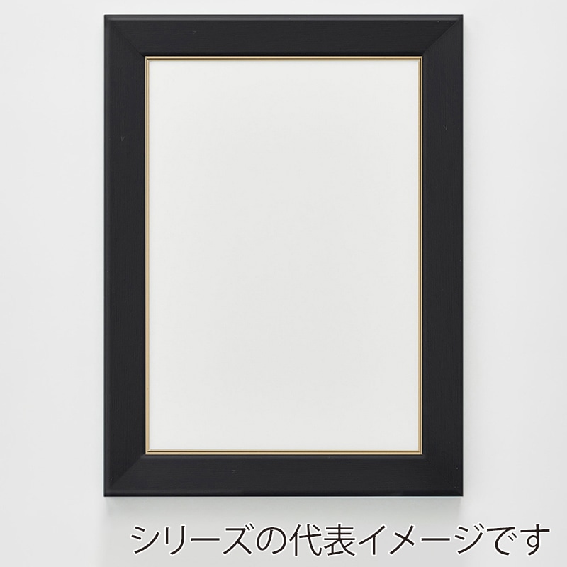 アルナ デッサン額 CF 面金付き B-5 257×182mm ビターフレーム 1個(ご注文単位1個)【直送品】