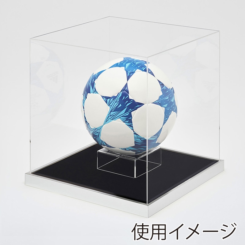 アルナ ボールケース Mサイズ T25 通常アクリル シルバーフレーム/黒別珍 1個(ご注文単位1個)【直送品】