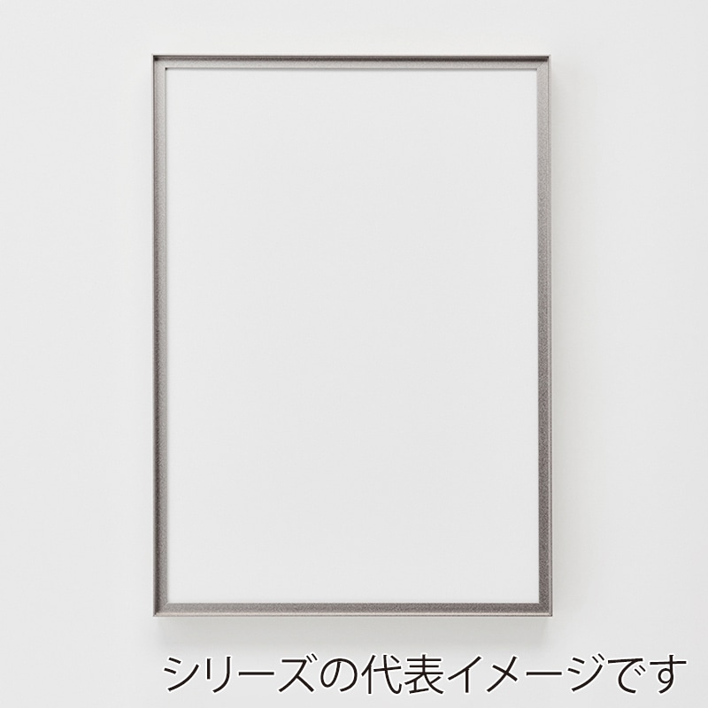 アルナ コレクションケース・デッサン額　RIM 250角 マットシルバーフレーム 1個（ご注文単位1個）【直送品】