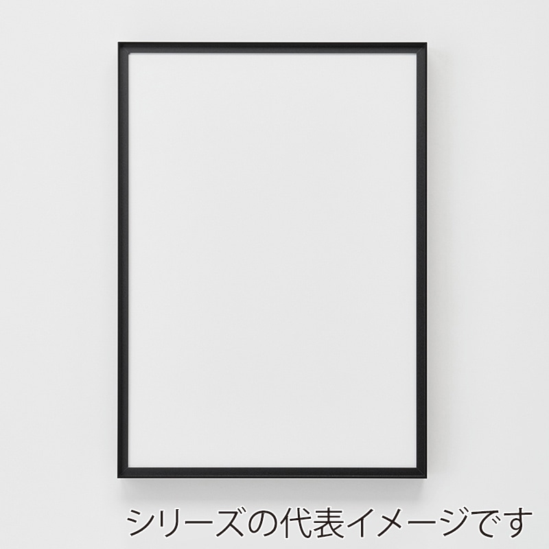 マットブラックフレーム