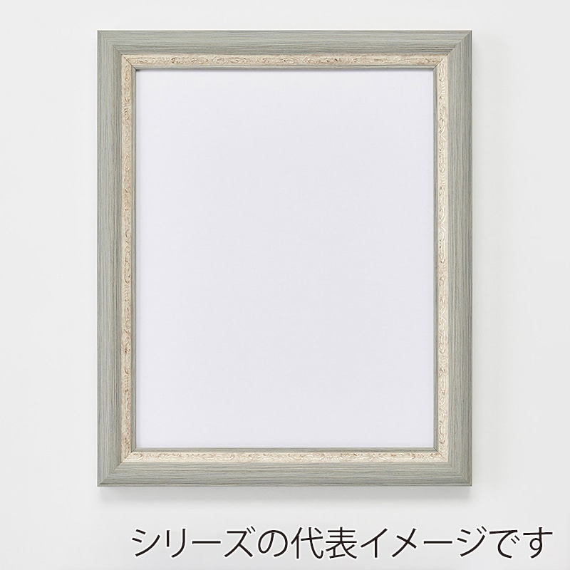 アルナ デッサン額　APS-02 太子　379×288mm グレーフレーム 1個（ご注文単位1個）【直送品】