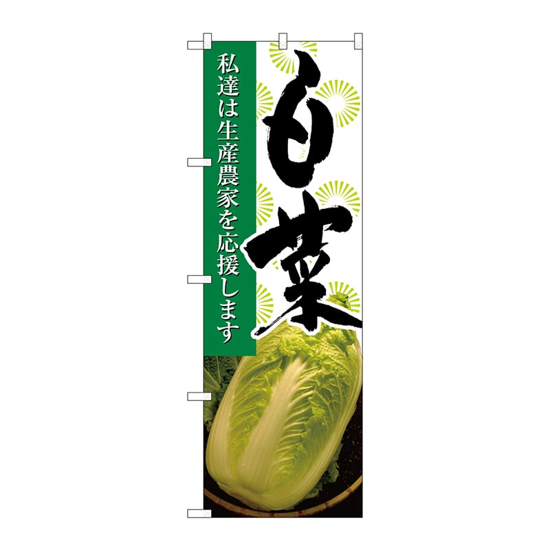 P・O・Pプロダクツ のぼり 白菜 写真 No.21913 1枚（ご注文単位1枚）【直送品】