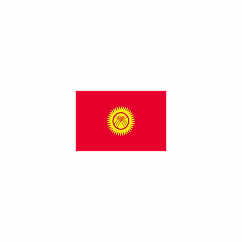 P・O・Pプロダクツ 世界の国旗 No.1 22995　キルギスタン 1枚（ご注文単位1枚）【直送品】