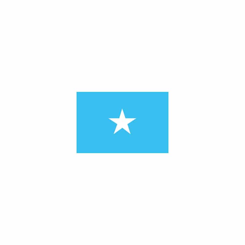 P・O・Pプロダクツ 世界の国旗 L版 23174　ソマリア 1枚（ご注文単位1枚）【直送品】