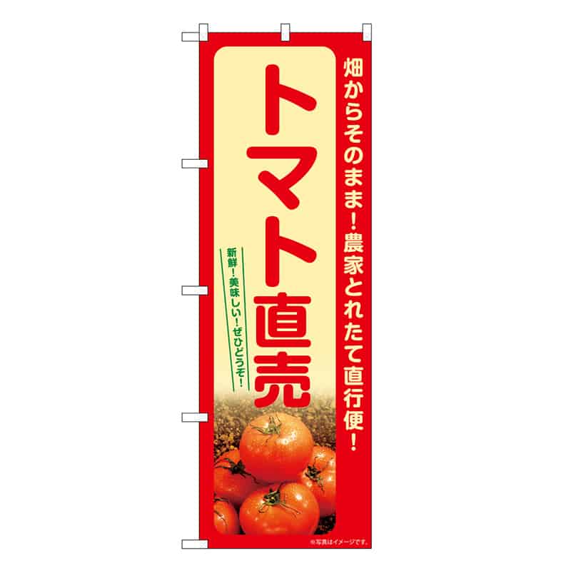 P・O・Pプロダクツ のぼり トマト直売 SNB-7264 1枚（ご注文単位1枚）【直送品】