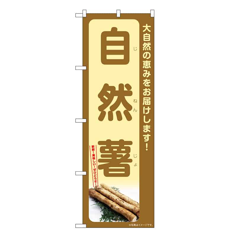 P・O・Pプロダクツ のぼり 自然薯 SNB-7278 1枚（ご注文単位1枚）【直送品】