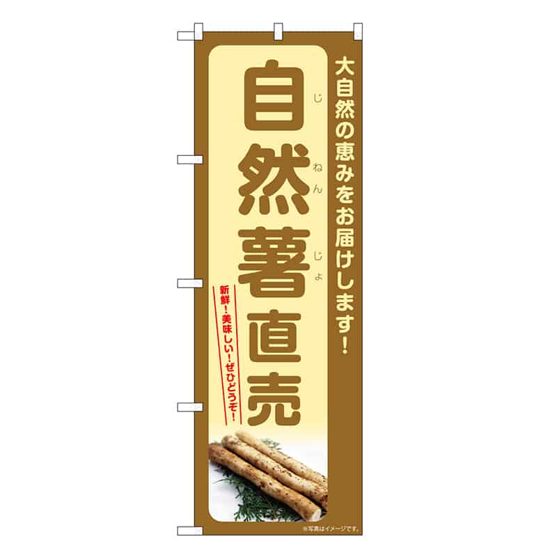 P・O・Pプロダクツ のぼり 自然薯直売 SNB-7279 1枚（ご注文単位1枚）【直送品】