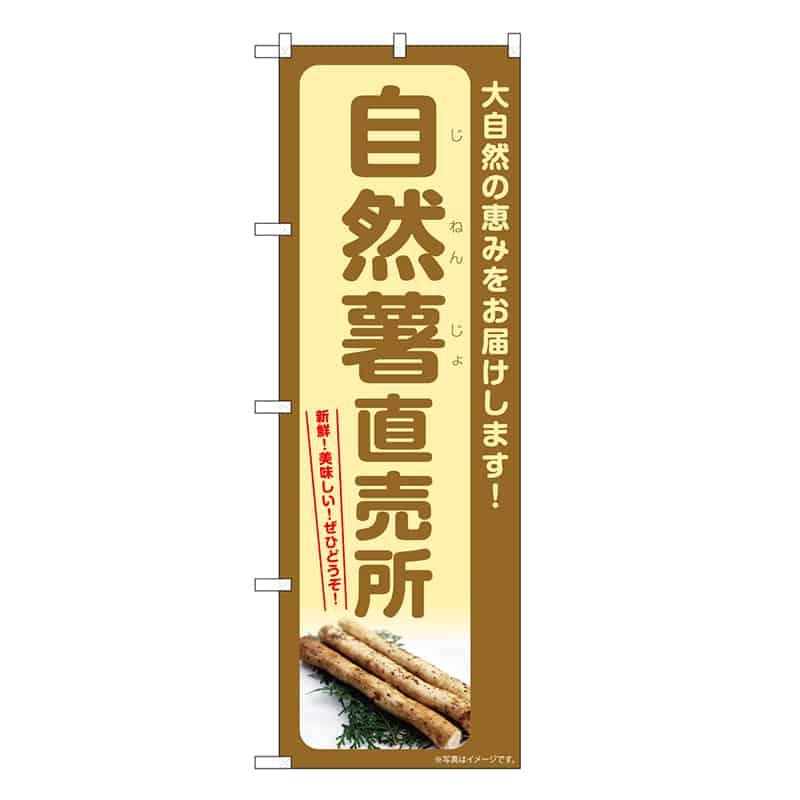 P・O・Pプロダクツ のぼり 自然薯直売所 SNB-7280 1枚（ご注文単位1枚）【直送品】