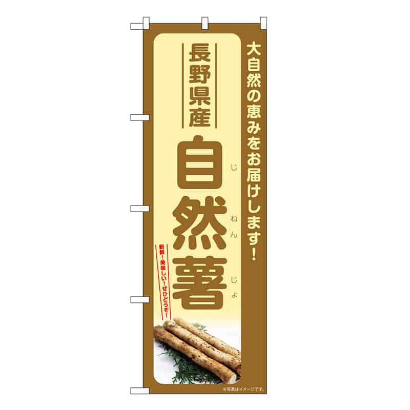 P・O・Pプロダクツ のぼり 自然薯 長野県産 SNB-7286 1枚（ご注文単位1枚）【直送品】
