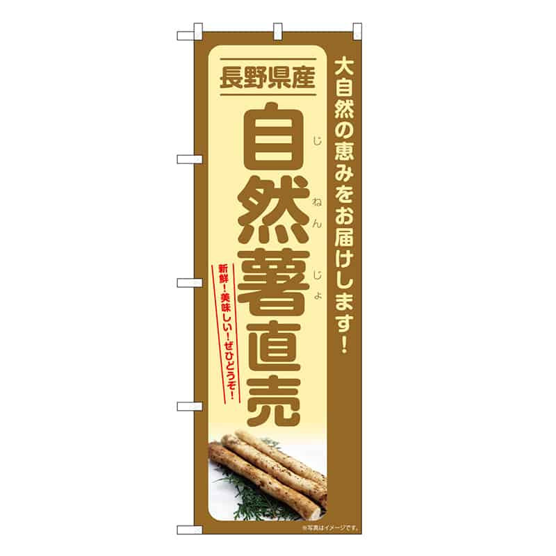 P・O・Pプロダクツ のぼり 自然薯直売 長野県産 SNB-7295 1枚（ご注文単位1枚）【直送品】