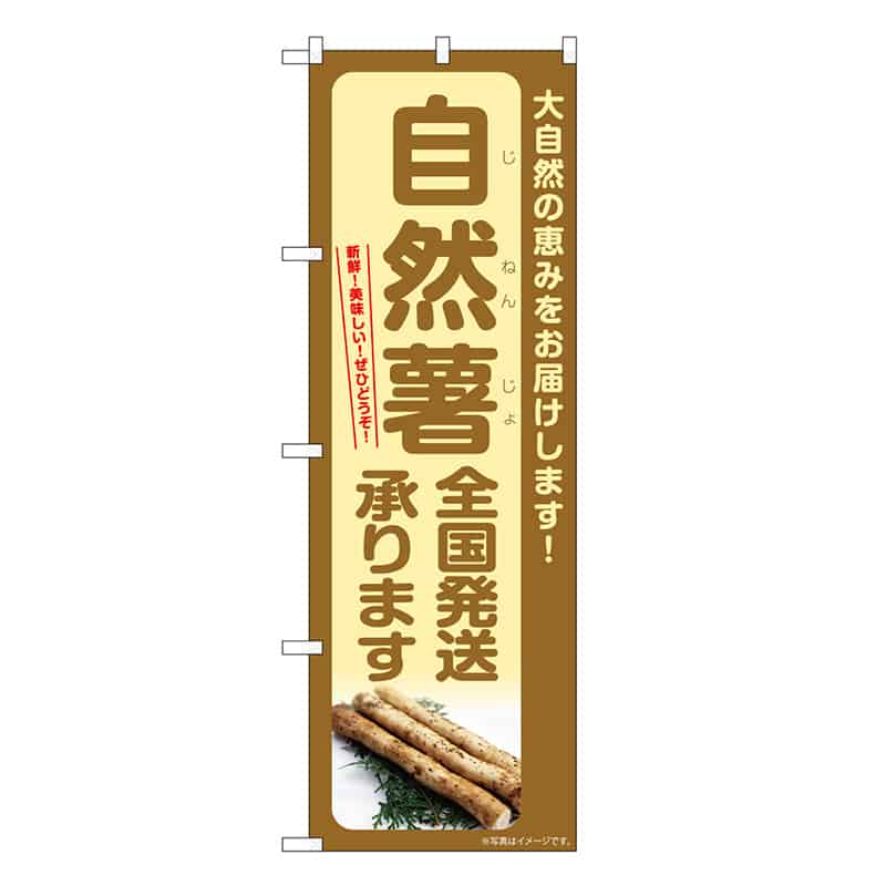 P・O・Pプロダクツ のぼり 自然薯 全国発送承ります SNB-7299 1枚（ご注文単位1枚）【直送品】