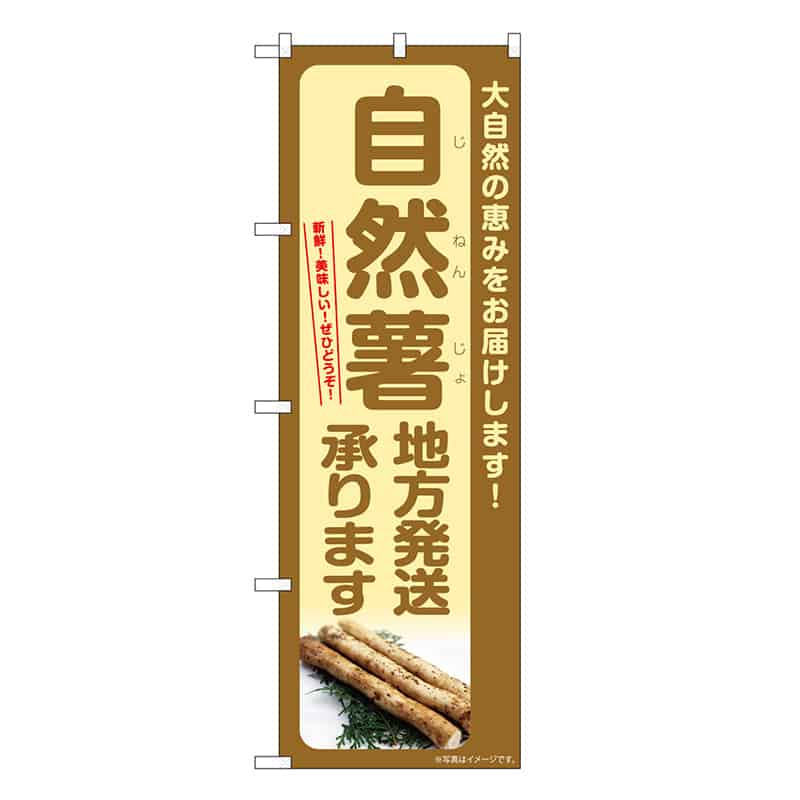 P・O・Pプロダクツ のぼり 自然薯 地方発送承ります SNB-7300 1枚（ご注文単位1枚）【直送品】